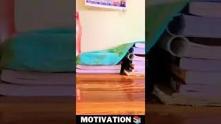 Study Motivational Video | UPSC Motivation | Study Motivation #shorts #youtubeshorts #abdultalks