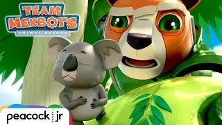 ⚠️KOALA CROSSING⚠️ Helping Cute Animals Cross the Street! | TEAM MEKBOTS ANIMAL RESCUE