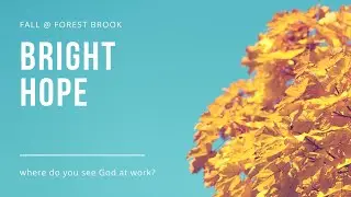 Bright Hope: Where do we see God working, and what gives us HOPE? By Kevin Armstrong