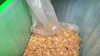 Coarse Milk Crystal Screening Process