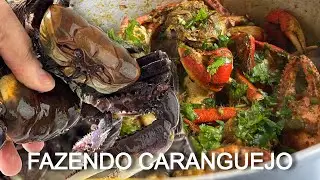 FAZENDO CARANGUEJO