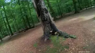 Liesbos