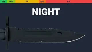M9 Bayonet Night - Skin Float And Wear Preview