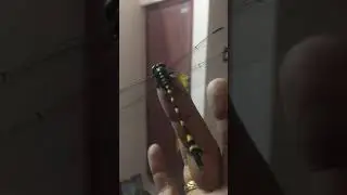 An insect, symbol of happiness, courage and strength in Japan|| GUESS??? Rocky 360 Degree Lens