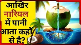 नारियल में पानी कहाँ से आता है | How Coconut Water is Formed | Coconut Water | coconut | Nariyal |