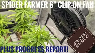 Spider Farmer 6