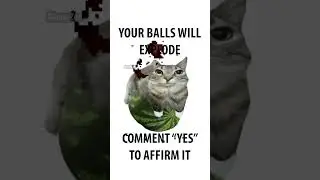 comment 