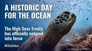 Celebrating the Entry into Force of the High Seas Treaty