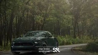 Slap House Revolution | Dancefloor Pulse: Where Bass and Beats Collide in Harmony