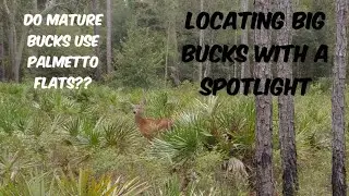Deer Hunting Florida | Hunting Palmetto Flats For Mature Bucks