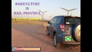 Agriculture in Hail Province [ Saudi Arab]