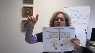 Arthritis and the Gut
