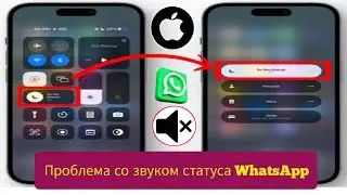 Решение проблемы со звуком в статусах WhatsApp на iPhone (2025) Не работает звук в статусах WhatsApp