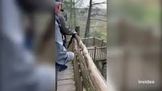 Bushkill Falls Pennsylvania, Poconos