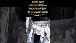 Inside the Cave Where a River Creates Natural Farms | Unbelievable Nature #shorts