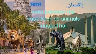 India v pakistan compare , number of animals