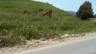 De Betrouna à Tizi-ouzou