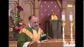 Aug 30 - Homily - Fr Alan: Even nature is affected by sin