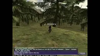 Final Fantasy XI PC gameplay footage - speedhacking in Jugner Forest