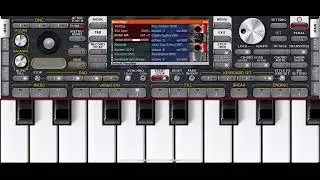 ЛЕЗГИНКА НА ОРГ 24