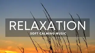 2.5 Hours of Soothing Relaxation and Meditation Music - Mind Castle Music - Soft and Calming Music