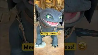 Meeting Toothless at Epic Universe! 🤩 #epicuniverse #toothless #howtotrainyourdragon