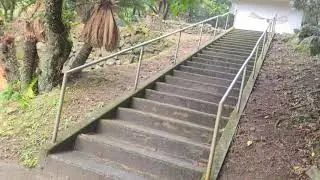 徳之島5日目はリベンジ釣りしようとしたけど強風で断念して天気が不安定なだけどムシロ瀬は良くて手々海浜は名前が可愛いくて金見崎は蘇鉄だらけだったので山漁港と面白い地名日和②　2026/1/5