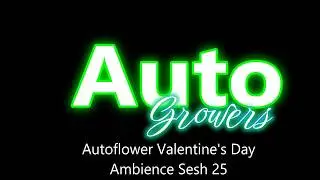 Autoflower Valentine Ambience - Sesh 25 - Uninterrupted Music