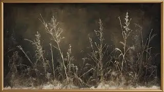 Quiet Winter Meadow Still Life | Moody Botanical Art Screensaver | 6 Hour Ambient Wall Art