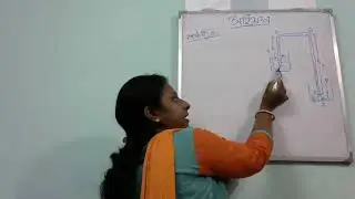 siphon in bengali