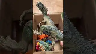 ASMR Jurassic World Dinosaur Toy Collection