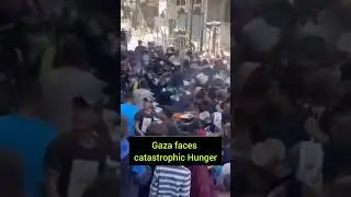 Catastrophic Hunger and Famine in Gaza. #freepalestine #gaza #famine #hunger #genocideingaza