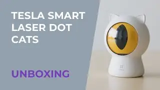 Tesla Smart Laser Dot Cats | Unboxing