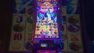 Бонус Timberwolf Triple Power! #слот #шорты #казино #азартныеигры