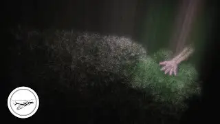 Kin Leonn - flowers... dripping (Official Visualizer)