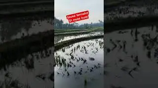 Sound Termahal di Muka Bumi