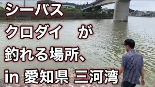 三河湾釣りスポット【形原漁港】をご紹介。愛知県蒲郡市