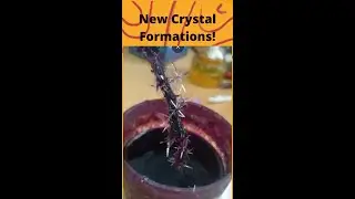New Crystal Formations!! Pt3 of the Crystal Growing Experiment