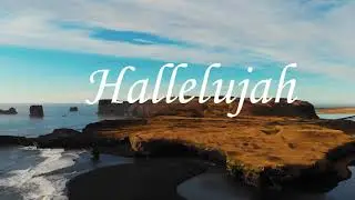 Hallelujah (Psalm 148)/ Cover of Nava Tehilah Halleluya הללויה - נאוה תהילה