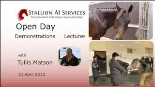 Stallion AI Open Day 21 April 2013