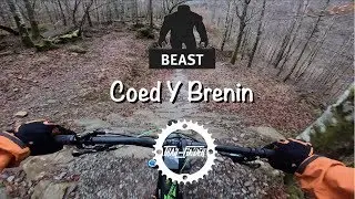 Trail centre MTB @ Coed Y Brenin