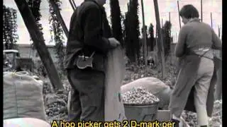 Hopfen und Malz, Gott Erhalt's 1961