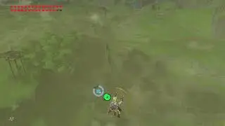 Botw 9