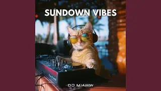 Sundown Vibes