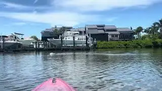 Sanibel island-kayaking with manatees