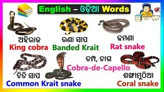 English Odia snakes name | English Odia words dictionary | word book  | Word meaning practice |
