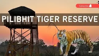 Tourism Palace | Pilibhit Chuka Beach | पीलीभीत  टाइगर रिजर्व | पीलीभीत का चूका जंगल | #fa11facts