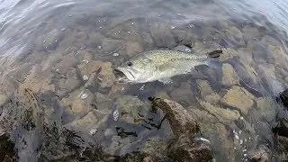 Public Park Fishing Kent Lake