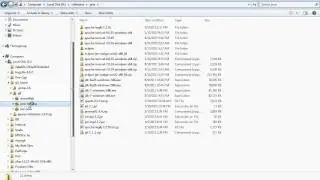 java training SVN.wmv