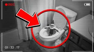 67 Эльф на полке, замеченный движущимся и какающим 😱